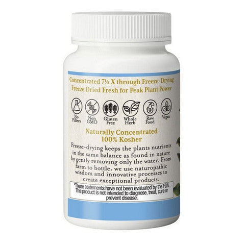 Eclectic Herb, American Bilberry, 400 mg, 60 vcaps Eclectic Herb